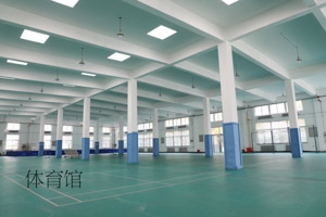 体育馆（组图）