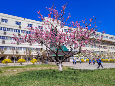 校园温暖花乐开