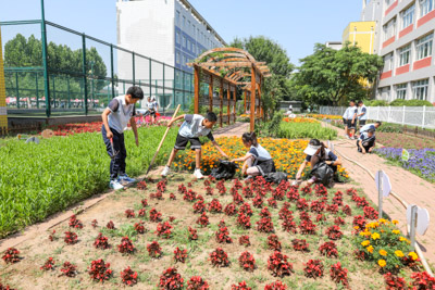 少年勤劳花芬芳